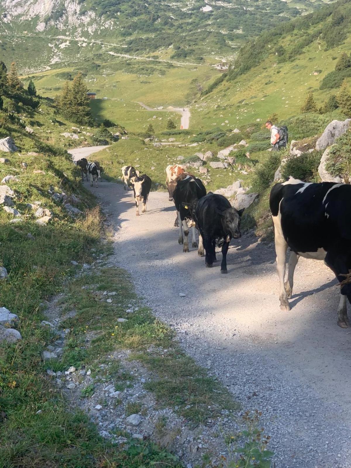 Ferienwohnungen Schantl Schoppernau Kültér fotó